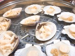 扇贝-董大蒸货(方塔园店)