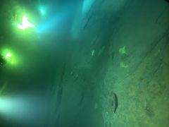 -白鹤梁水下博物馆
