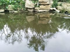 -白鹭湾湿地公园