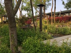 -汤山温泉房车营地 茶温泉