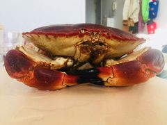 -岳各庄批发市场(西四环中路店)