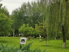 -太阳宫公园