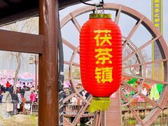 -茯茶镇