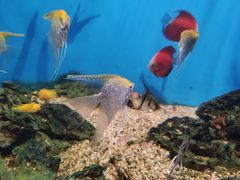-海合安武汉极地海洋公园