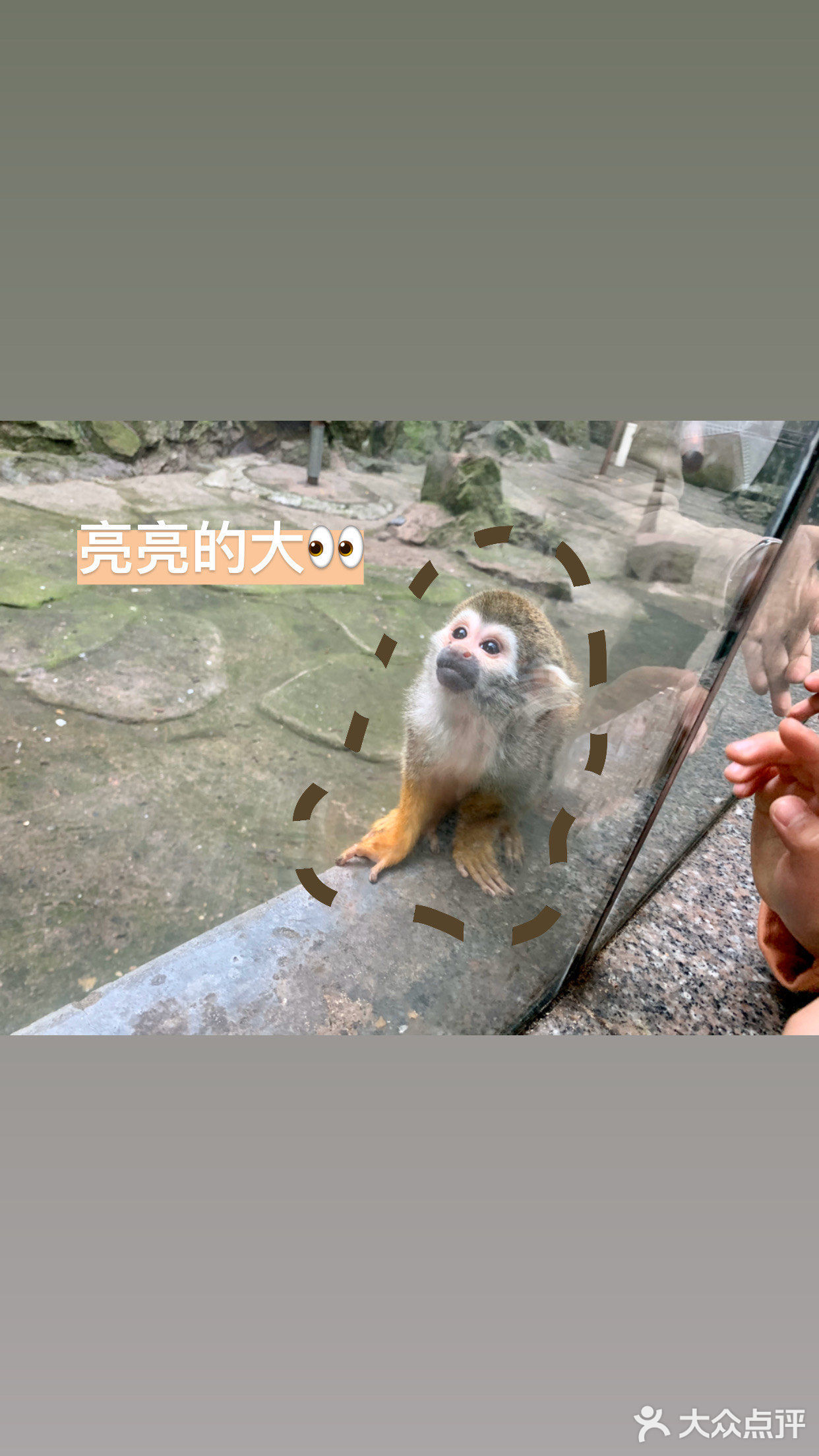 真的很久没有去动物园了呢