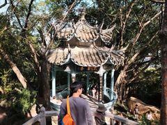 -乌山风景区