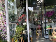 -FEI FEI FLOWER鲜花店·气球派对·宝宝宴布置(虹口德必运动Loft店)