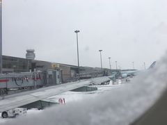 -蒙特利尔皮埃尔·埃利奥特·特鲁多国际机场