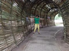 -北海金海湾红树林生态旅游区