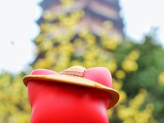 -北寺塔