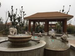 -宁波杭州湾海底温泉