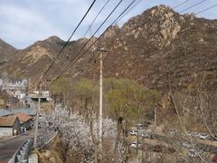 -大岭沟猕猴桃谷风景区
