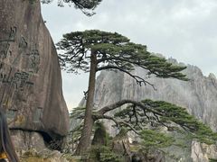 -黄山白云宾馆