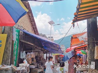 广州周边｜我找到了宫崎骏的夏天•玩山溪水摘果