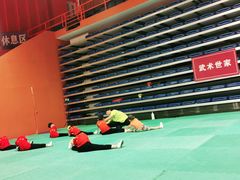 -武术世家少儿培训中心(首都体育学院店)
