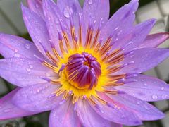 -国家植物园南园