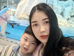 -帝企鹅自助餐厅•儿童岛•真企鹅(长隆企鹅酒店)