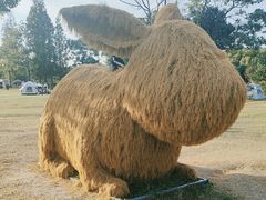 -嘉北郊野公园