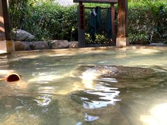 -厦门日月谷温泉渡假村