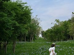 -白鹭湾湿地公园