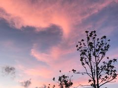 -舟山希尔顿酒店