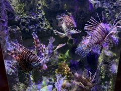 -太平洋海底世界