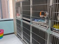 -嘉馨宠物医院·CT影像转诊·心脏科·犬猫全科诊疗中心(下沙大学城院区)