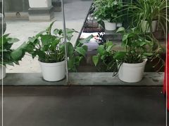 -旺顺阁鱼头泡饼(小红门店)