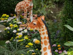 -上海共青森林公园