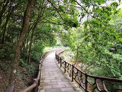 -雁荡山大龙湫景区
