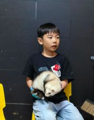 -神奇动物撸宠馆·羊驼·小浣熊·异宠(豫园店)