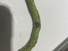 -灶东家民间菜(回兴店)