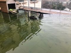 -南京圣和府邸豪华精选酒店