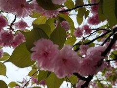 -青州市云门山风景区