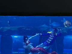 -台州海洋世界