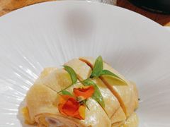 -新白鹿餐厅(百联中环店)