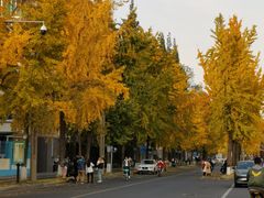 -四川大学(望江校区)
