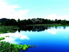 -会仙湿地