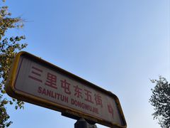 -三里屯东五街银杏大道