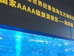 -成都浩海立方海洋公园