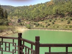 IMG_1130-旺山景区