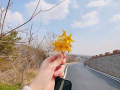 -樱花山风景区