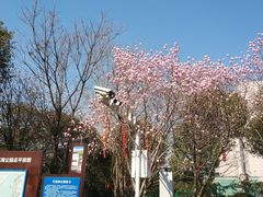 -艾溪湖湿地公园