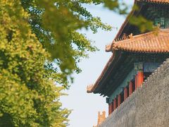-故宫博物院(故宫)