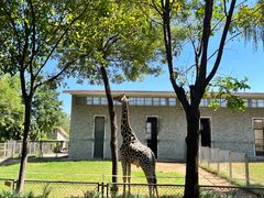 -石家庄市动物园