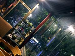 -BGM CLUB二次元主题桌游店(康王路店)