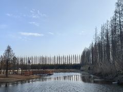-黄海国家森林公园