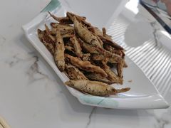 -途肴·老农饭庄(百里峡店)