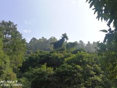 -火炉山森林公园