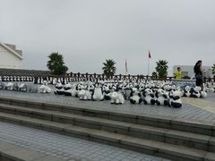 -碧海金沙